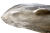 ZIFXRCLG_02_Detail_web_image.png