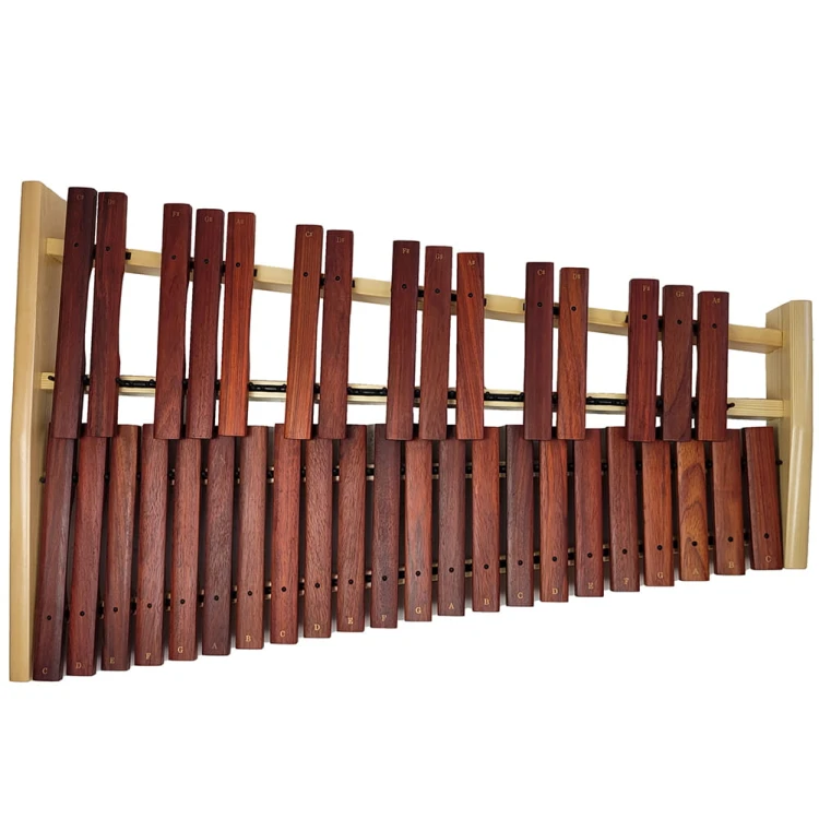 20240208_112049.jpg