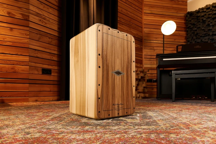 AEFLIH meinl cajon 2_11zon.webp